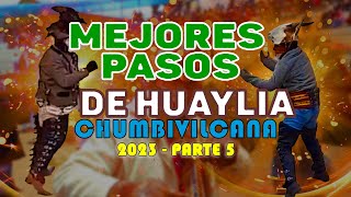 Mejores pasos de la Huaylia Chumbivilcana 2023 Parte 5 AuhanaStudio©2023 [upl. by Duester]