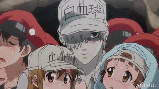 We must Protect the Platelets  Hataraku Saibou Episode 11 [upl. by Caz203]