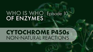 Who Is Who of Enzymes Cytochrome P450 Monooxygenases Nonnatural Reactions [upl. by Thaddaus]