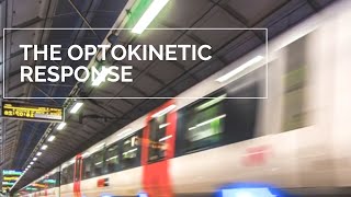 The Optokinetic Response [upl. by Ylrebmit]