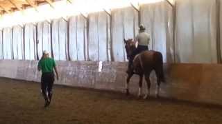 How to Teach a Horse Piaffe Part 8 Half steps under saddle working towards Piaffe [upl. by Nigrom849]