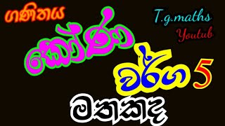 kona warga  කොණ වර්ග 5  sl maths  grade 611  lesson  sinhala maths [upl. by Maddox]