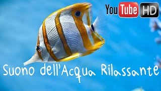 HD ♥ 417 Hz ♥ Bella Musica Strumentale ♥ Musica Rilassante ♥ Suono dell Acqua [upl. by Wilow]