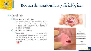 Exploración Genitales Femeninos  Dra Fatima Alvarez [upl. by Orit283]