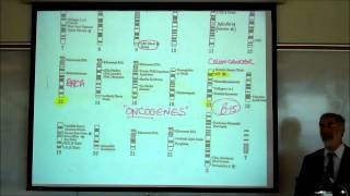 GENES amp DNA REPLICATION by Professor Fink [upl. by Recnal18]