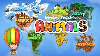 Monkey Preschool Animals [upl. by Norad]