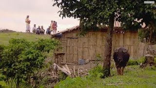 La Pompe magique aux Philippines [upl. by Arch]