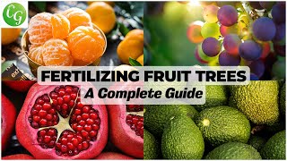 Optimal Fertilizing for Fruit Trees Comprehensive Schedule amp Guide for Lush Yields [upl. by Verena808]