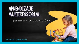 👁️‍🗨️​🧏🏻​👋​ Aprendizaje MULTISENSORIAL enfoque OrtonGillingham o modelo VAK en 2024 [upl. by Asial]