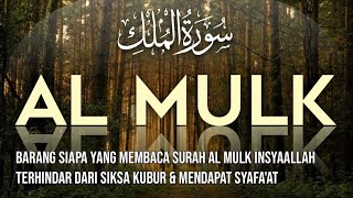 SURAH MULK RECITATION SURAH MULK TABARAK AL MULK HEART TOUCHING NIGHT TILAWAT [upl. by Eseer]