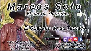 El guayabo dé un tautaco canta Marcos Soto arpa Ramón becerra audio original2024 [upl. by Nared190]