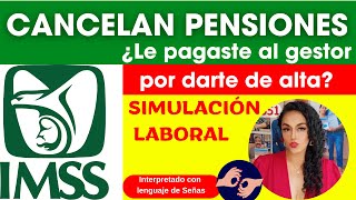 4 Ley 73 Cancelan Pensiones por Simulación Laboral IMSS [upl. by Jermaine446]