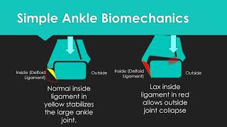 Inside Ankle Collapse  Deltoid Ligaments amp Ankle Pronation [upl. by Darom]