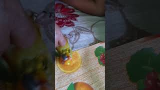 Why Sun Conures Are the Funniest Parrots  mimoparrot [upl. by Mitzi]