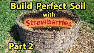 How to Build  NATURES Healthy Soil  in Raised Wood Chip Organic Bed Gardening  Designs  Part 2 [upl. by Anneehs]