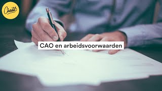 CAO en arbeidsvoorwaarden  Mr Chadd Academy [upl. by Repsihw379]