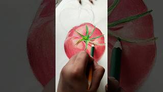 color pencil art 🎨  How to make color pencil art  Tomato 🍅🍅 ytshorts colors art [upl. by Marteena624]