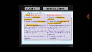 Difference between intracellular and extracellular digestion [upl. by Eceinahs954]