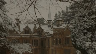 you’re studying in an ancient university as the snowflakes fall  dark academia playlist [upl. by Ainola]