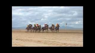 The Laytown Races [upl. by Akimak]