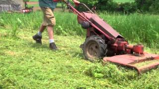 Gravely LI mowing VERY high grass and tall weeds [upl. by Rains879]