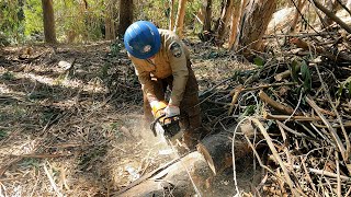 Los Padres Corpsmembers Finding Their Futures with Forestry Corps [upl. by Pierpont]