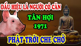 DẤU HIỆU VÀNG Tuổi tân hợi 1971 Là Người Có Căn Lành Được Phật Che Chở Hộ Trì TIỀN VỀ TỚI TẤP [upl. by Aiclef335]