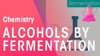 Making Alcohols By Fermentation amp From Ethane  Organic Chemistry  Chemistry  FuseSchool [upl. by Hubie794]