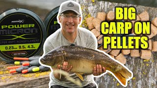 BIG FISH ON HARD PELLETS AT MEADOWLANDS FISHERY Shallow amp Margin Fishing with JON ARTHUR [upl. by Llenod161]