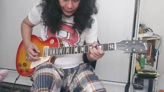 wingspotret monalisaguitar solo cover [upl. by Domenech]