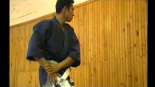 Cours de yoseikan budo fight [upl. by Martino]