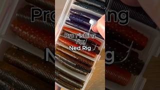 Ned Rig Pros and Cons fishing fishingtips bassfishing howto largemouthbass [upl. by Wrigley]