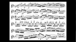 Tsjaikovski PI mvt1 begin violin concerto [upl. by Ok]