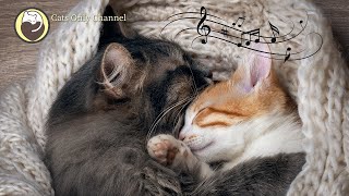 528 Hz Deep Healing Music for Stressed and Anxious Cats with cat purring sounds [upl. by Merralee]