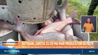 Botoșani județul cu cei mai mari producători de pește 35 din producția țării vine din nordest [upl. by Nomrah17]