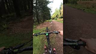 Manuals on trails are the best 👌 mtb emtb gopro12 [upl. by Phyllys]