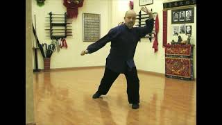 Choy Li Fut Long fist set [upl. by Lanie697]