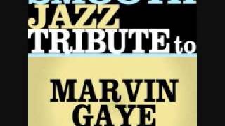 Aint No Mountain High Enough  Marvin Gaye Smooth Jazz Tribute [upl. by Anemaj]