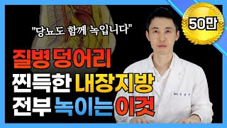 뱃살 내장지방 전부 녹여버리는 방법 지방간 당뇨와 고혈압 고지혈증에도 좋습니다 [upl. by Mapes]