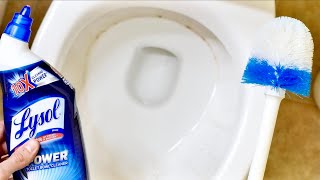 The EASIEST Way to Clean the Porcelain Throne Lysol Toilet Bowl Cleaner Gel Review [upl. by Ralf]