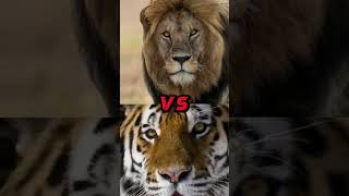 ENGLISH MASTIFF VS LION POLAR BEAR WOLF JAGUAR BITE FORCE [upl. by Bible]