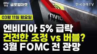 🔴0311 당잠사 엔비디아 건전한 조정 vs 버블🚨  美 2월 비농업고용 예상 상회  TSMC 반도체 보조금 6조원  비트코인 7만달러 돌파  사이어보안주 부각 [upl. by Aramoix]