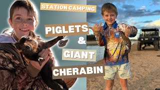 I caught a PIGLET let go Station Camping  Hunting Camping amp Fishing Providing for our families [upl. by Rurik]