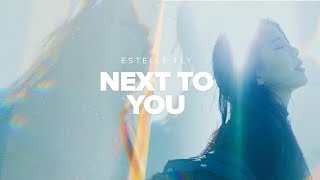 Estelle Fly  Next To You MV [upl. by Adnorahs301]