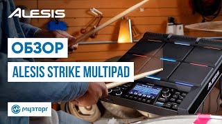 Обзор Alesis Strike Multipad [upl. by Harberd]