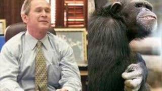 The monkey song with George W Bush [upl. by Hicks]