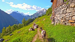 Walking around Geiranger most beautiful Village of Norway [upl. by Dahcir]