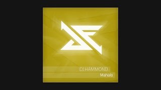 SFEP037 DJ Hammond  Polar Lights [upl. by Eeruhs]