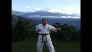 SANCHIN TENSHO KATA Kancho Yoshikazu Matsushima [upl. by Ancel]