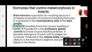 Lesson 11 Role of growth hormone in metamorphosis [upl. by Dlorrej]